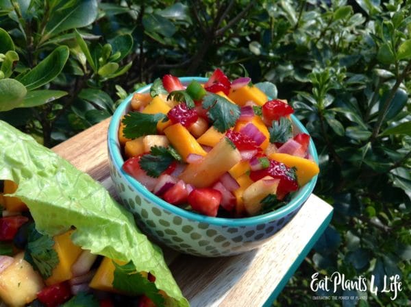 TropicalSalsa7