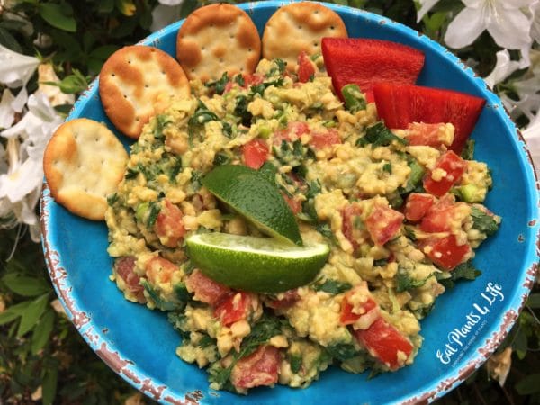 Avocado Dip3