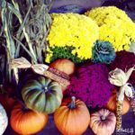 Here Comes Thanksgiving…