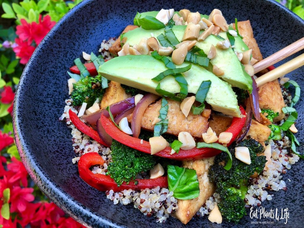 Top Vegan Cookbooks & Vegan Stir-Fry | Eat Plants 4 Life 3