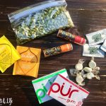 My 5 Vegan Handbag Must-Haves
